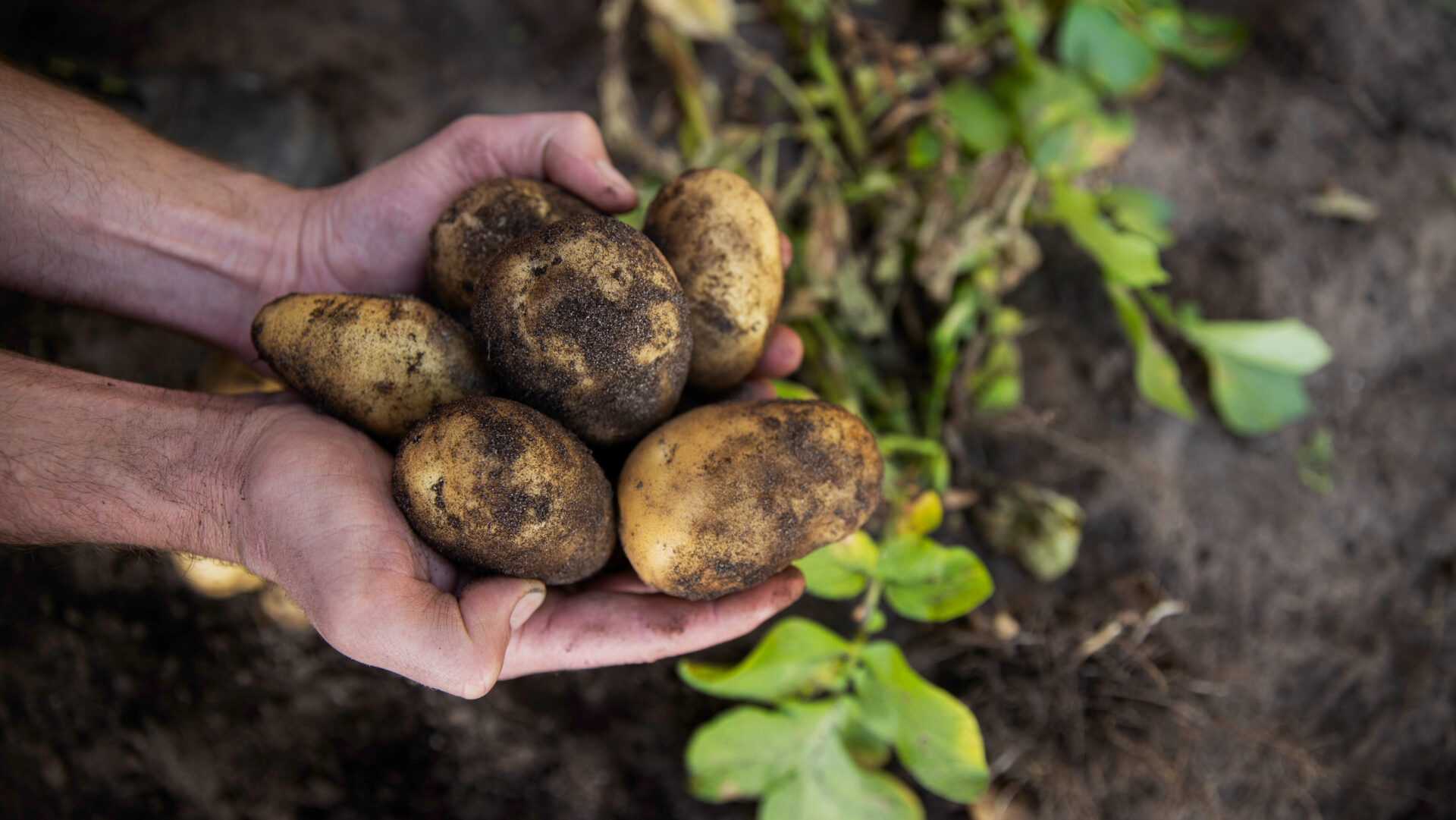 b_B0I6119-3-scaled-aspect-ratio-16-9